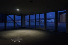 Petersen - LIGHT STUDY