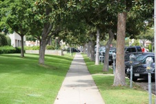 Enlarge photo 35
