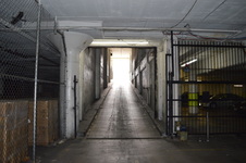 Enlarge photo 55