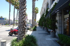 Enlarge photo 28