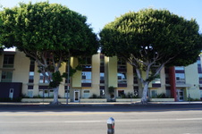Enlarge photo 13