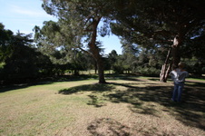 Enlarge photo 32