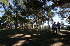 Enlarge photo 35