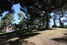 Enlarge photo 36