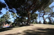 Enlarge photo 37