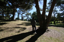 Enlarge photo 38