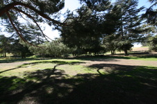Enlarge photo 41
