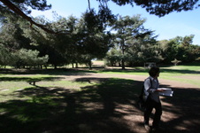 Enlarge photo 42
