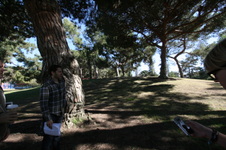 Enlarge photo 43