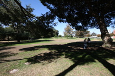 Enlarge photo 44