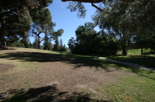 Enlarge photo 45