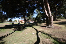 Enlarge photo 46