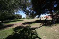 Enlarge photo 47