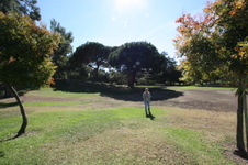 Enlarge photo 48
