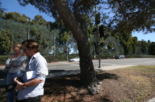 Enlarge photo 53