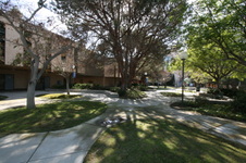 Enlarge photo 40