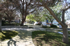Enlarge photo 43