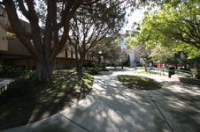 Enlarge photo 46