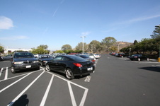 Enlarge photo 59