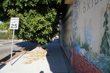 Enlarge photo 17