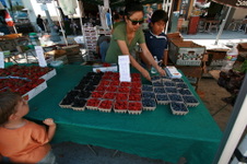 Enlarge photo 25