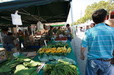 Enlarge photo 28