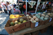 Enlarge photo 32