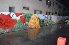 Enlarge photo 13