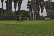Enlarge photo 29