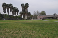 Enlarge photo 30