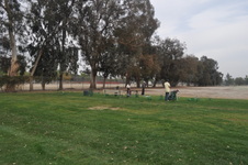 Enlarge photo 39