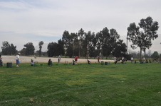 Enlarge photo 40