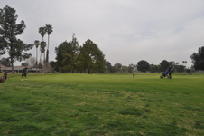 Enlarge photo 42