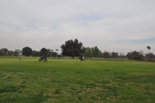 Enlarge photo 43