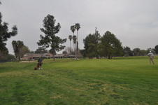 Enlarge photo 45