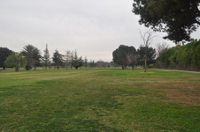 Enlarge photo 46