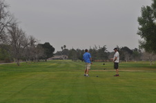 Enlarge photo 51