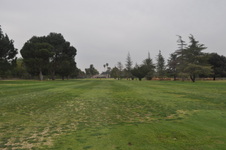 Enlarge photo 52
