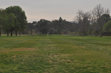 Enlarge photo 54