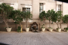 Enlarge photo 22