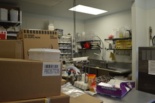 Enlarge photo 33