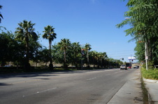Enlarge photo 77