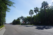 Enlarge photo 78