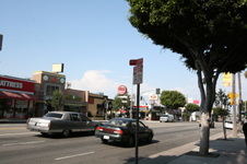 Enlarge photo 66