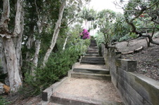 Enlarge photo 24