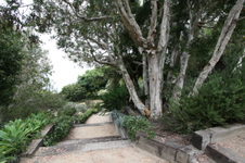 Enlarge photo 25
