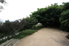 Enlarge photo 26