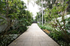 Enlarge photo 99