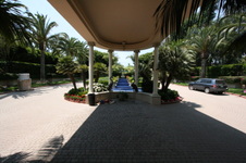 Enlarge photo 57