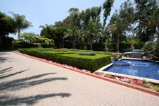Enlarge photo 61